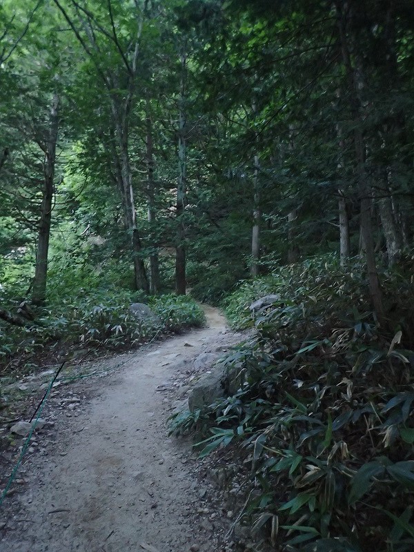e0284726_13525669.jpg