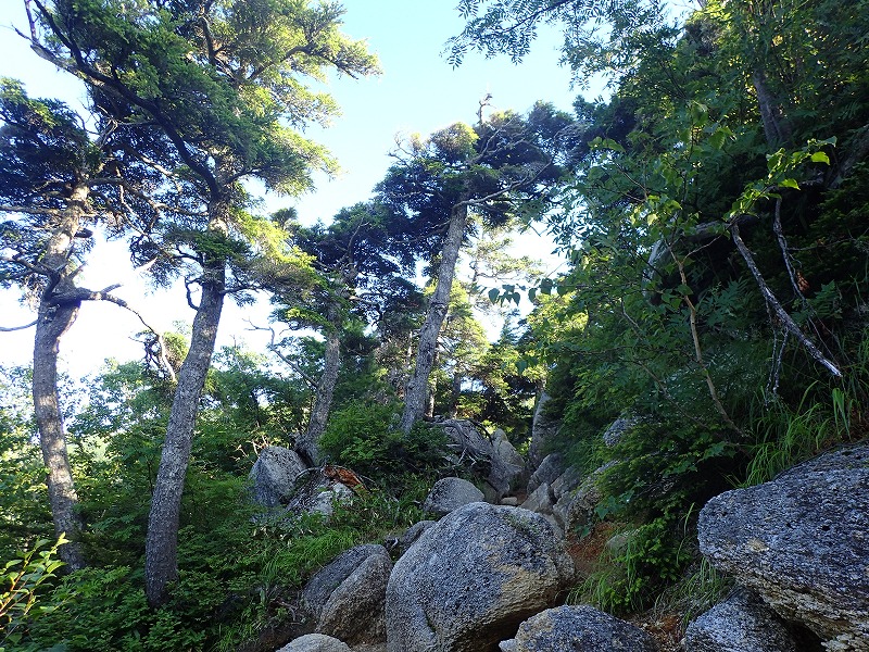 e0284726_13565472.jpg