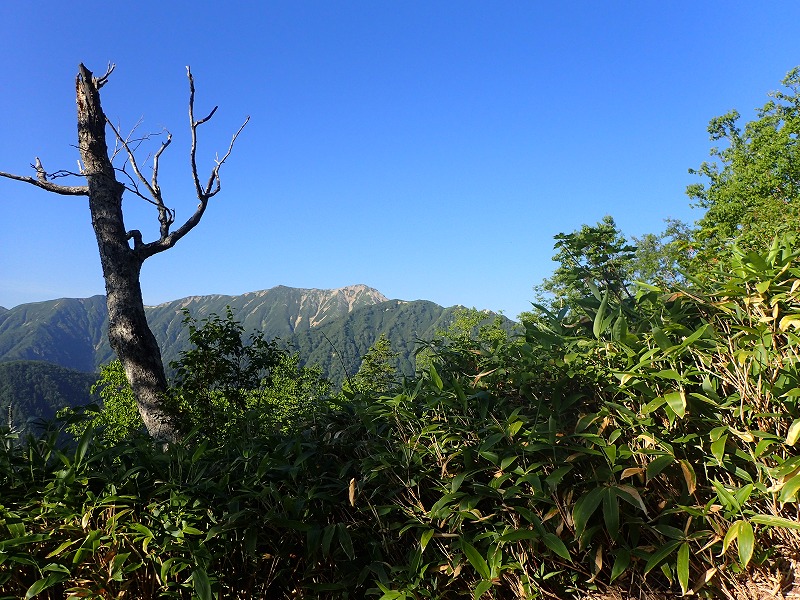 e0284726_147149.jpg