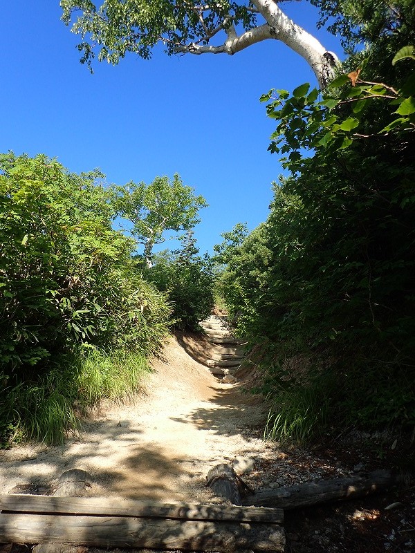 e0284726_1475615.jpg