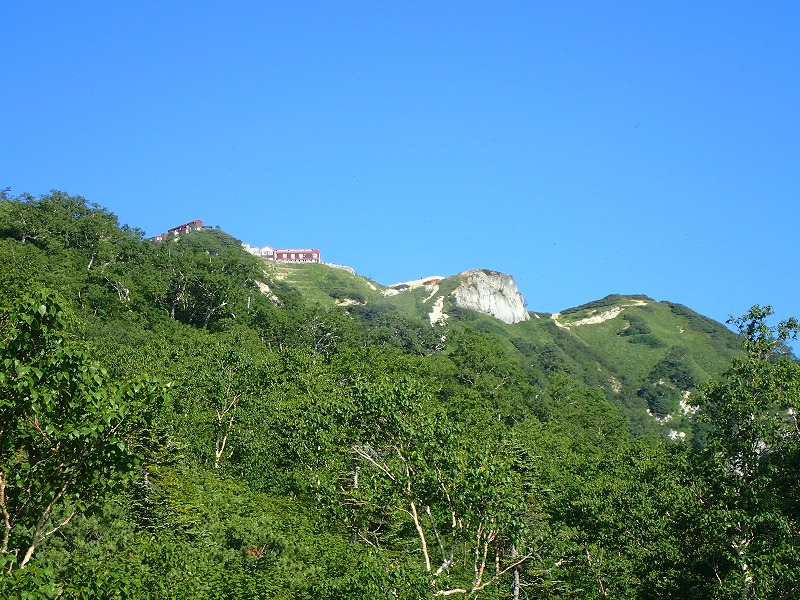 e0284726_1482188.jpg