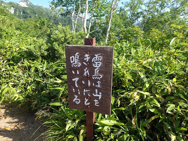 e0284726_14847100.jpg
