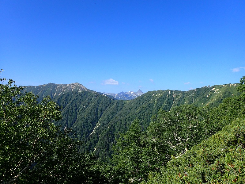 e0284726_1485761.jpg