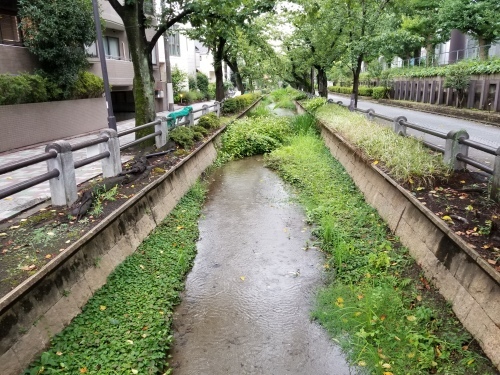 父の遺産とはなんだったか　フイリップ・ロス「父の遺産」_e0016828_10331044.jpg