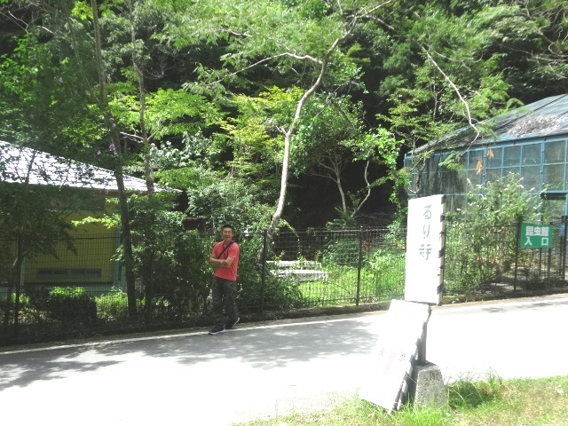 f0177529_19560764.jpg
