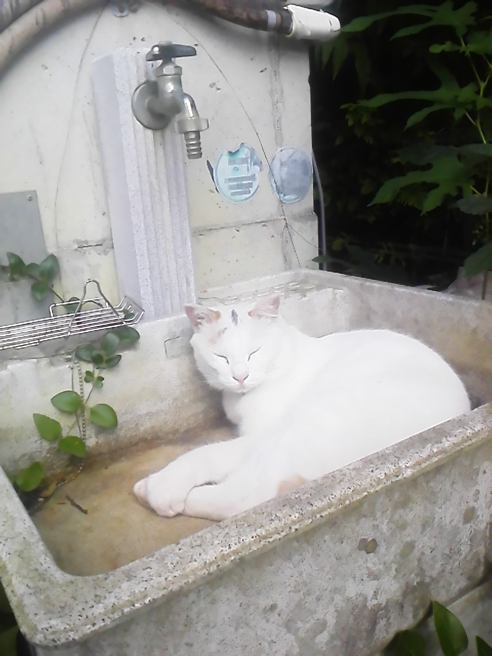 c0280730_09351062.jpg