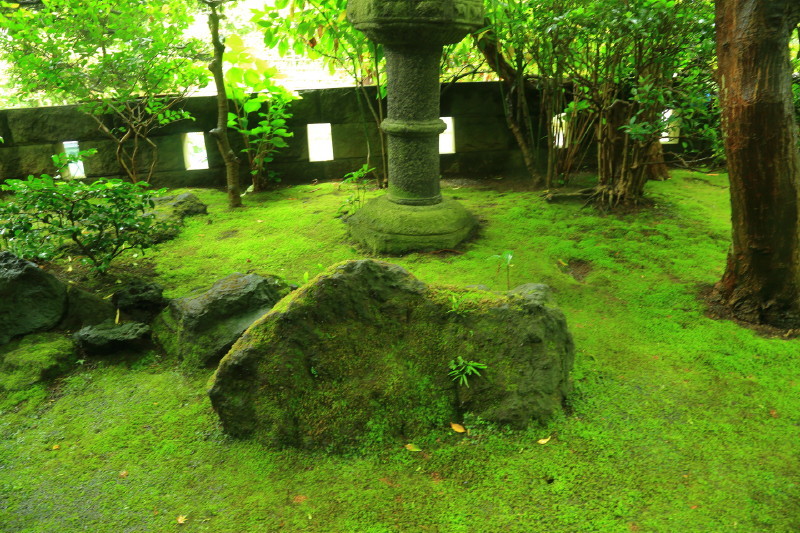 b0168733_15041809.jpg