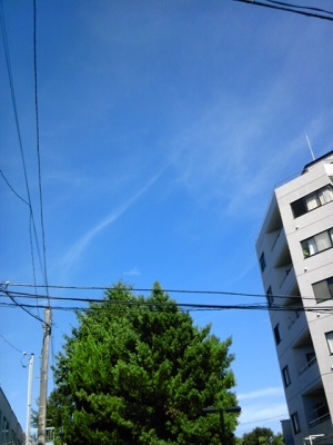 a0163738_16202287.jpg