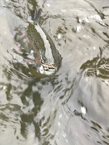 e0242439_23504212.jpg