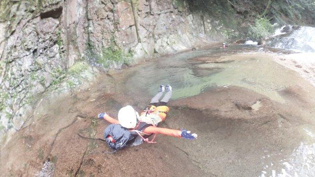 e0371039_652631.gif