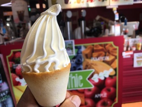 b0330040_14515630.jpeg