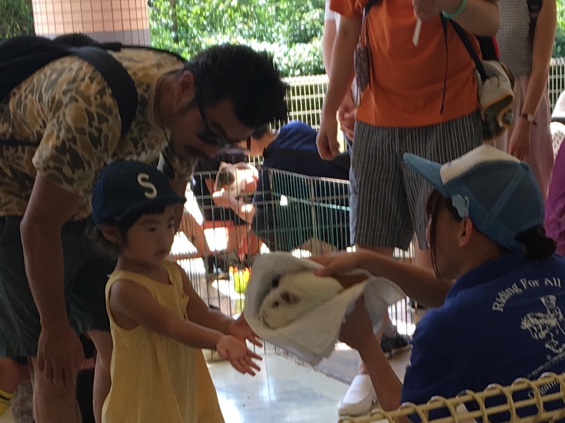b0330040_16154440.jpeg