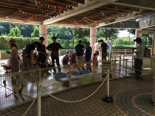 b0330040_16170481.jpeg