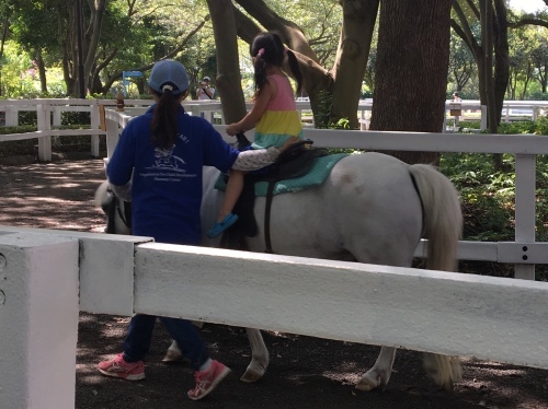 b0330040_16280636.jpeg