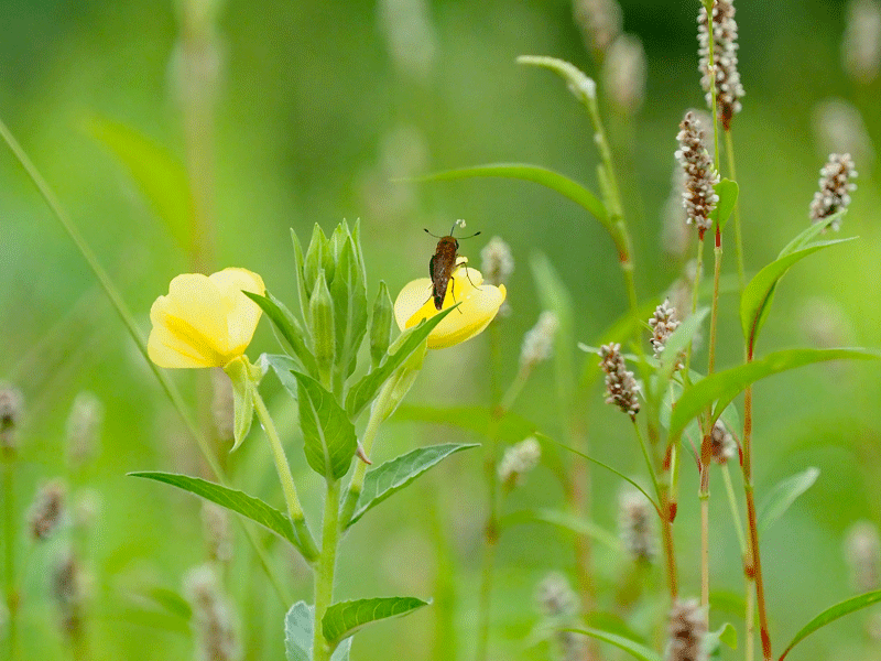 d0290240_08081456.gif