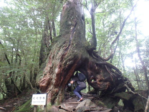 屋久島その③_f0251840_19002715.jpg