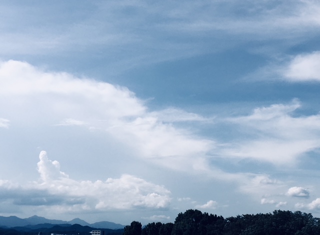 e0206242_224591.jpg