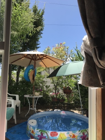 d0040546_07495419.jpeg