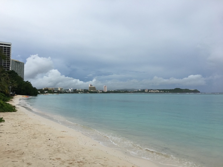 8月14日(火) 海が落ちついてきました!_d0012449_06413754.jpeg