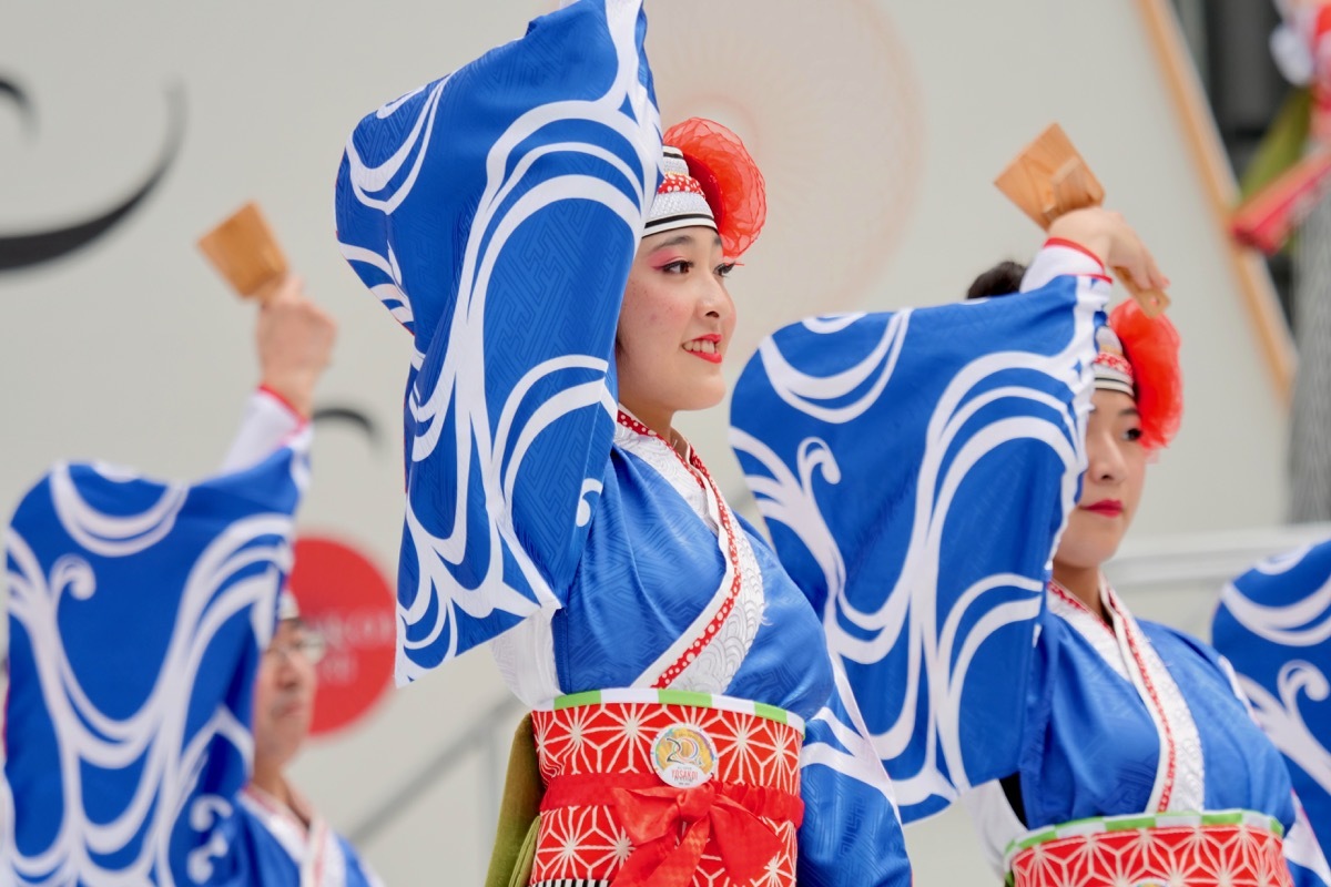 ２０１８高知よさこい全国大会（中央公園会場撮り急ぎ！）_a0009554_01235769.jpg