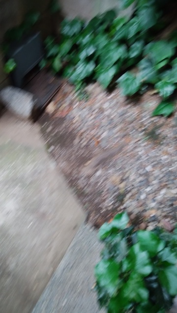 b0105259_19511906.jpg