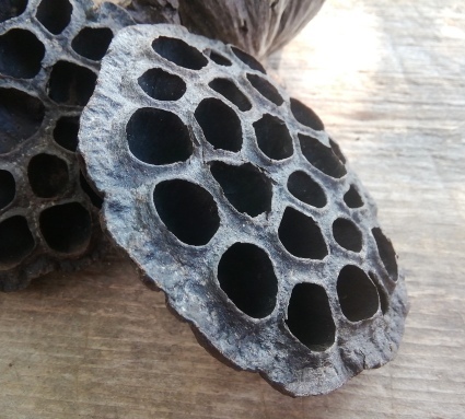 b0368362_14201166.jpg