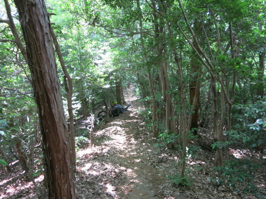 b0144174_18365959.jpg