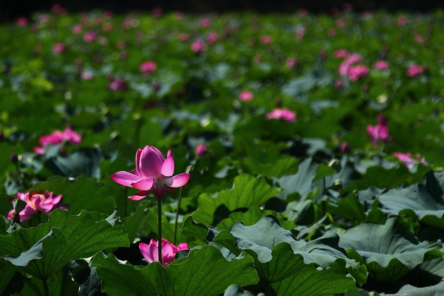 夏休み３日目_f0032275_20141393.jpg