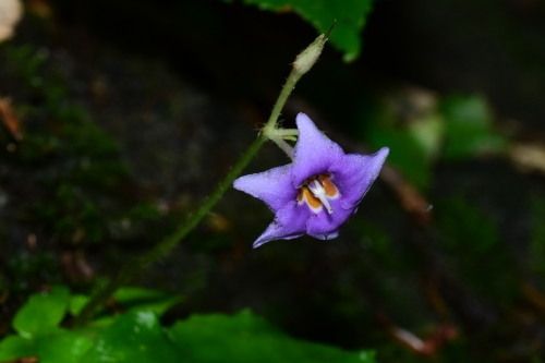 f0348480_16071711.jpg