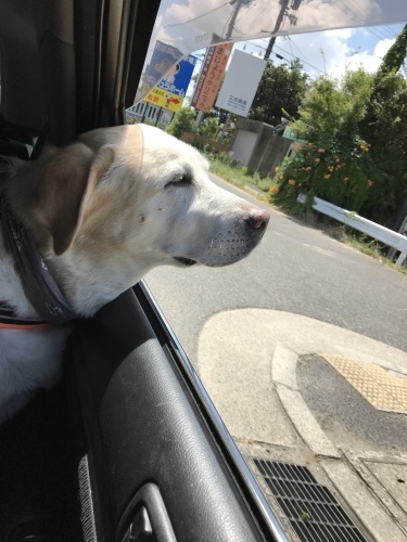 f0315081_22595046.jpeg
