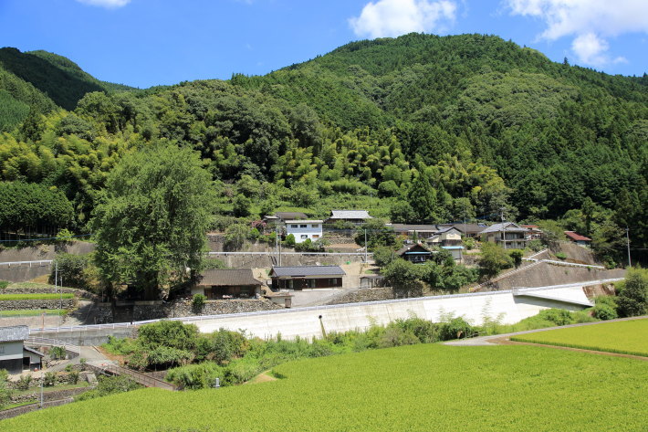 c0358784_23475993.jpg