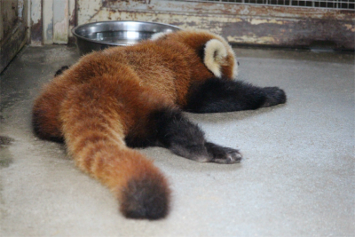 f0297893_17300640.jpg