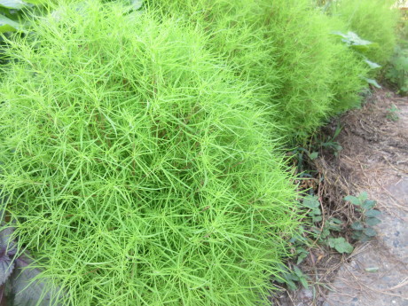 a0203003_14262618.jpg