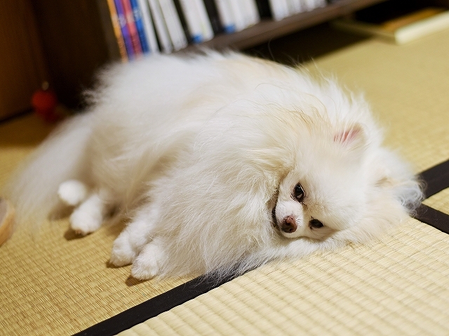今だけ台風は勘弁な!!_d0360206_01561108.jpg