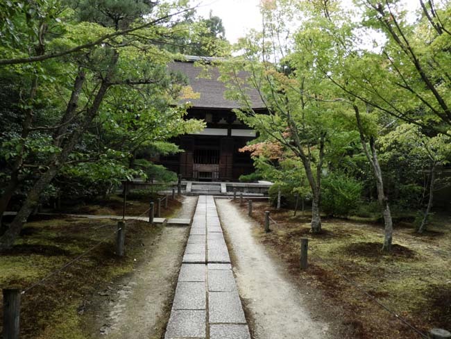 一休寺　夏の深緑_e0048413_16011379.jpg