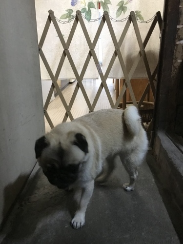d0377714_12122035.jpeg