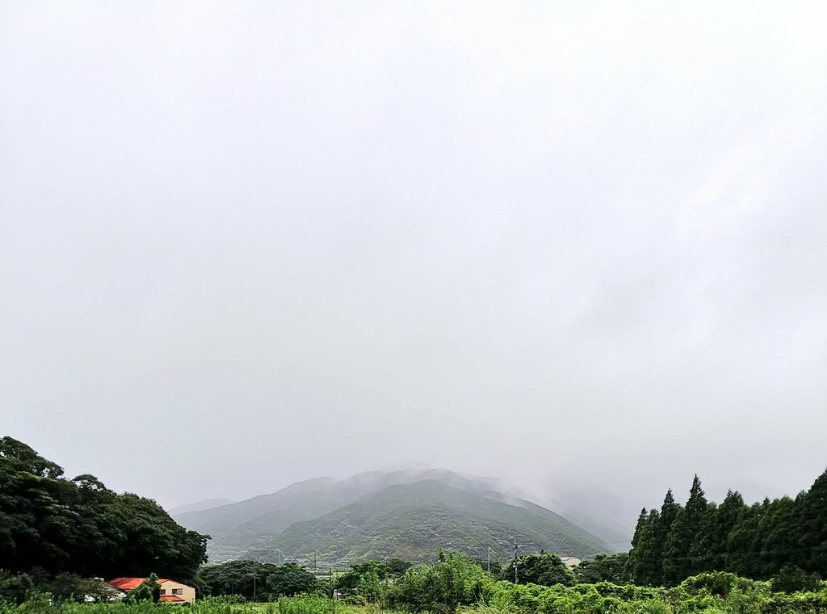 f0050625_18425830.jpg
