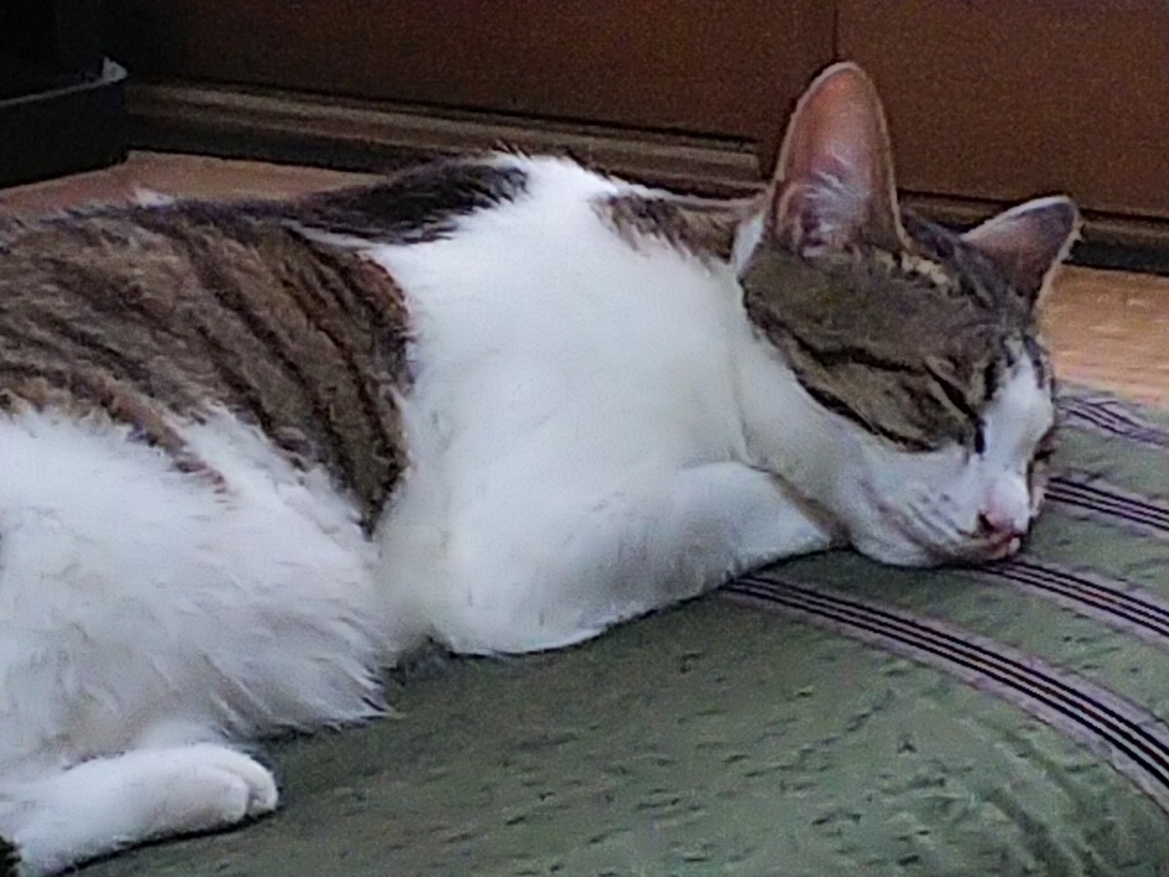 b0186130_11015502.jpg