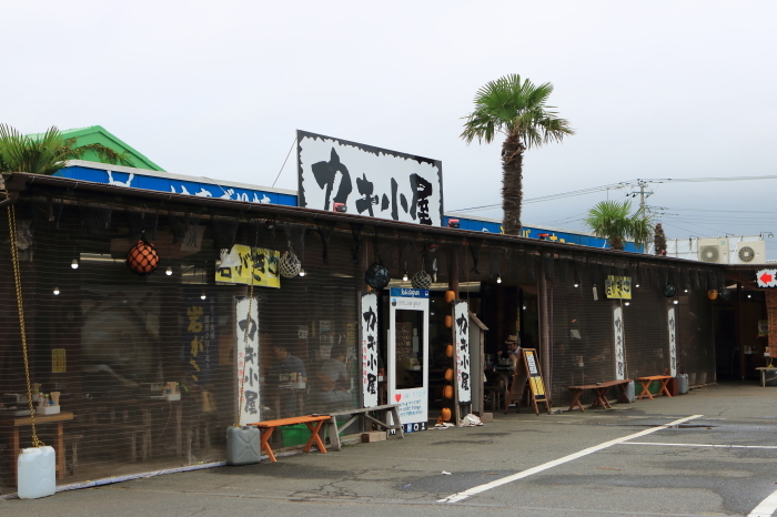茨城 大洗 カキ小屋 埼玉ー茨城 3 うろ子とカメラ