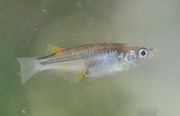 e0097534_15473078.jpg