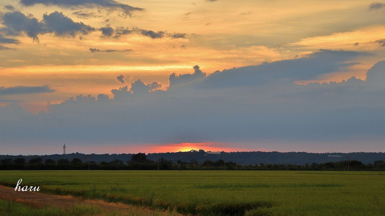 f0297537_10503957.jpg