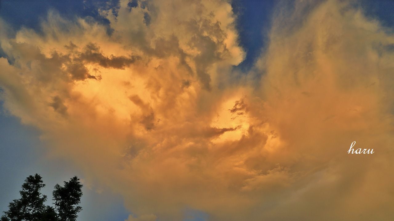 f0297537_10504459.jpg