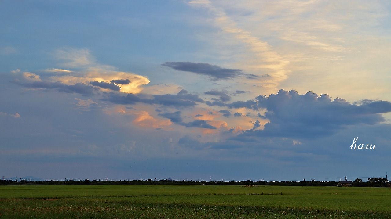 f0297537_10504820.jpg