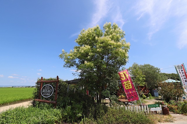 a0242438_18224138.jpg