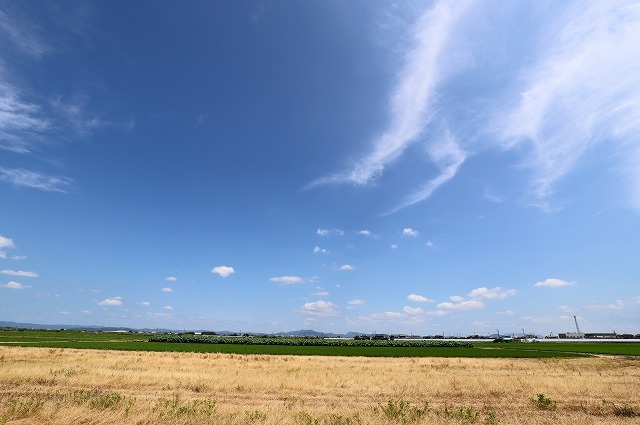 a0242438_18231025.jpg