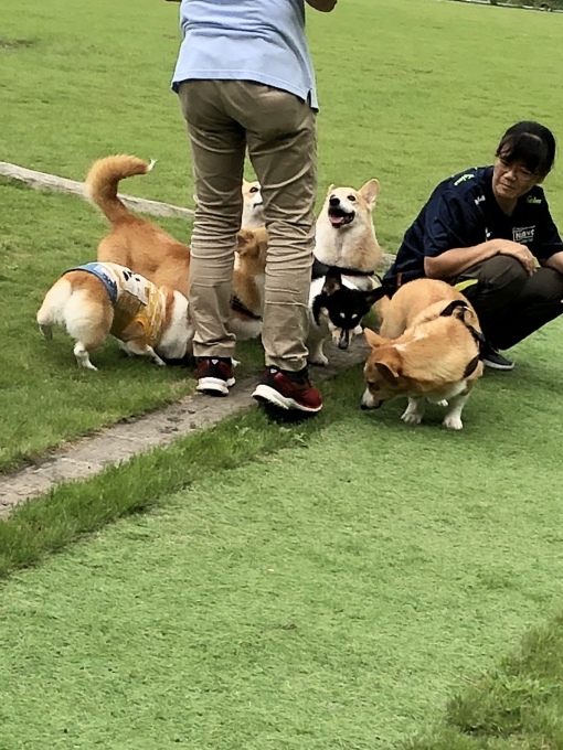 b0369239_15532826.jpeg
