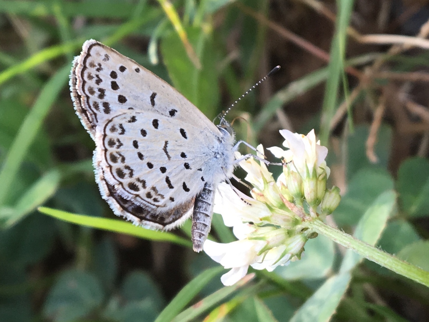 本牧山頂公園を歩く_b0330040_04004254.jpeg