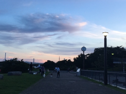 本牧山頂公園を歩く_b0330040_04372565.jpeg