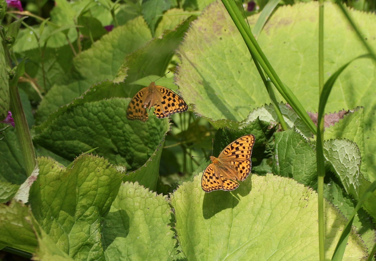 d0361041_11583205.jpg