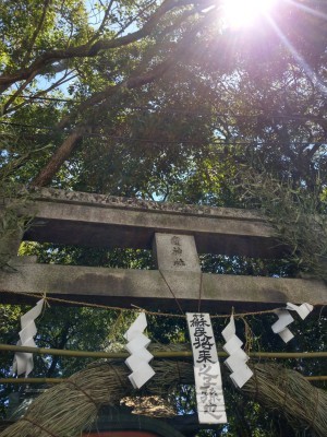 180811 本当の「夏越の大祓」_f0164842_10262977.jpg